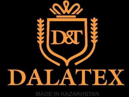 Жылдың үздік бизнесі – DALATEX