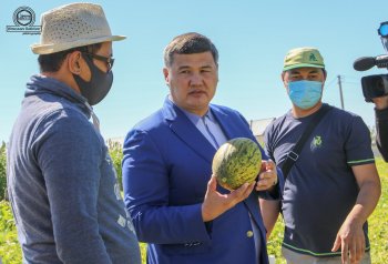 Сапалы өнімнің саны артуы керек